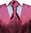 Cravate Plastron avec mouchoir sans le gilet*1010*